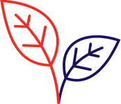 Icon of two leaves.
